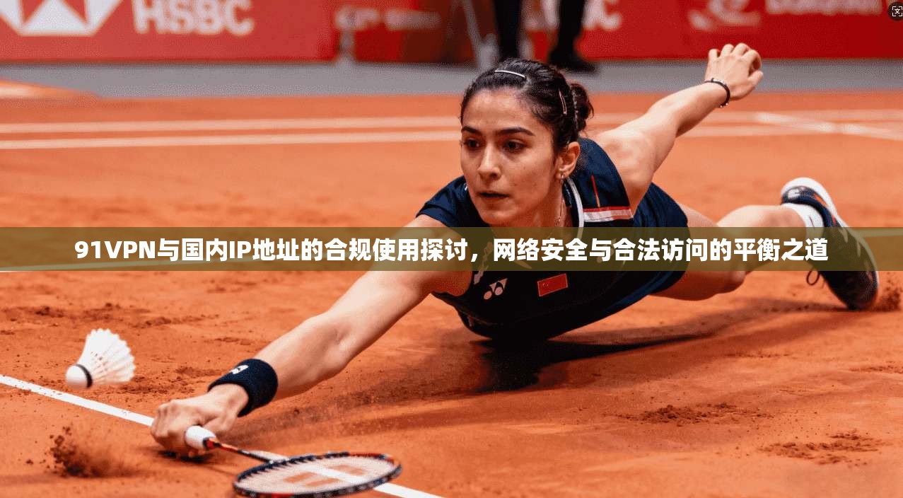 91VPN与国内IP地址的合规使用探讨，网络安全与合法访问的平衡之道