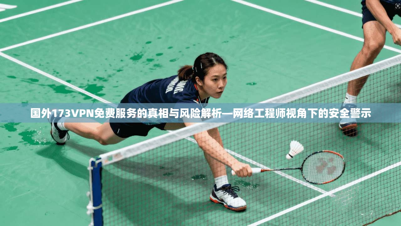 国外173VPN免费服务的真相与风险解析—网络工程师视角下的安全警示