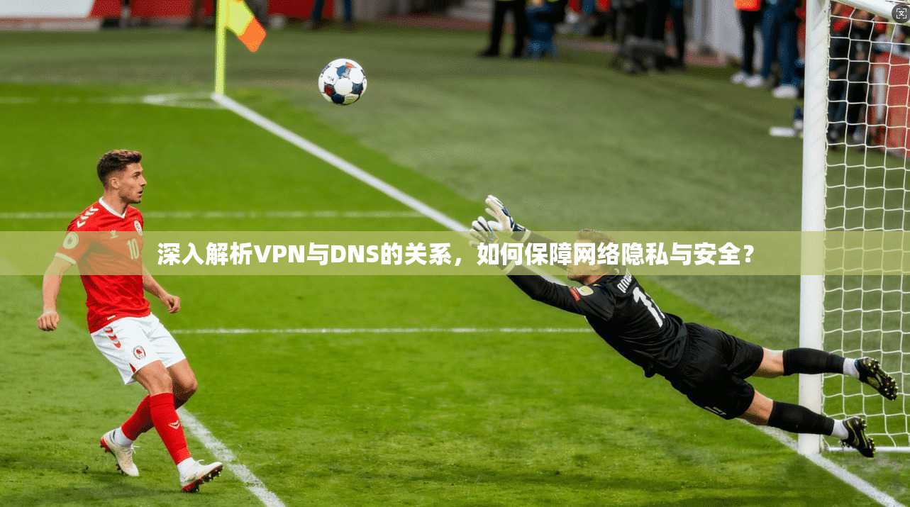 深入解析VPN与DNS的关系，如何保障网络隐私与安全？