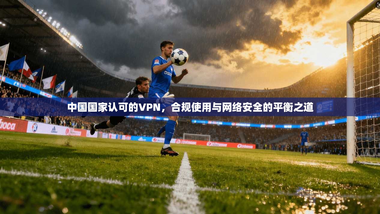 中国国家认可的VPN，合规使用与网络安全的平衡之道