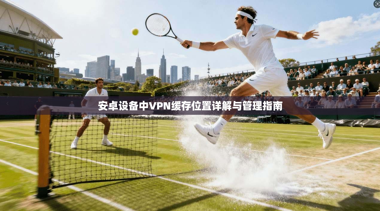 安卓设备中VPN缓存位置详解与管理指南