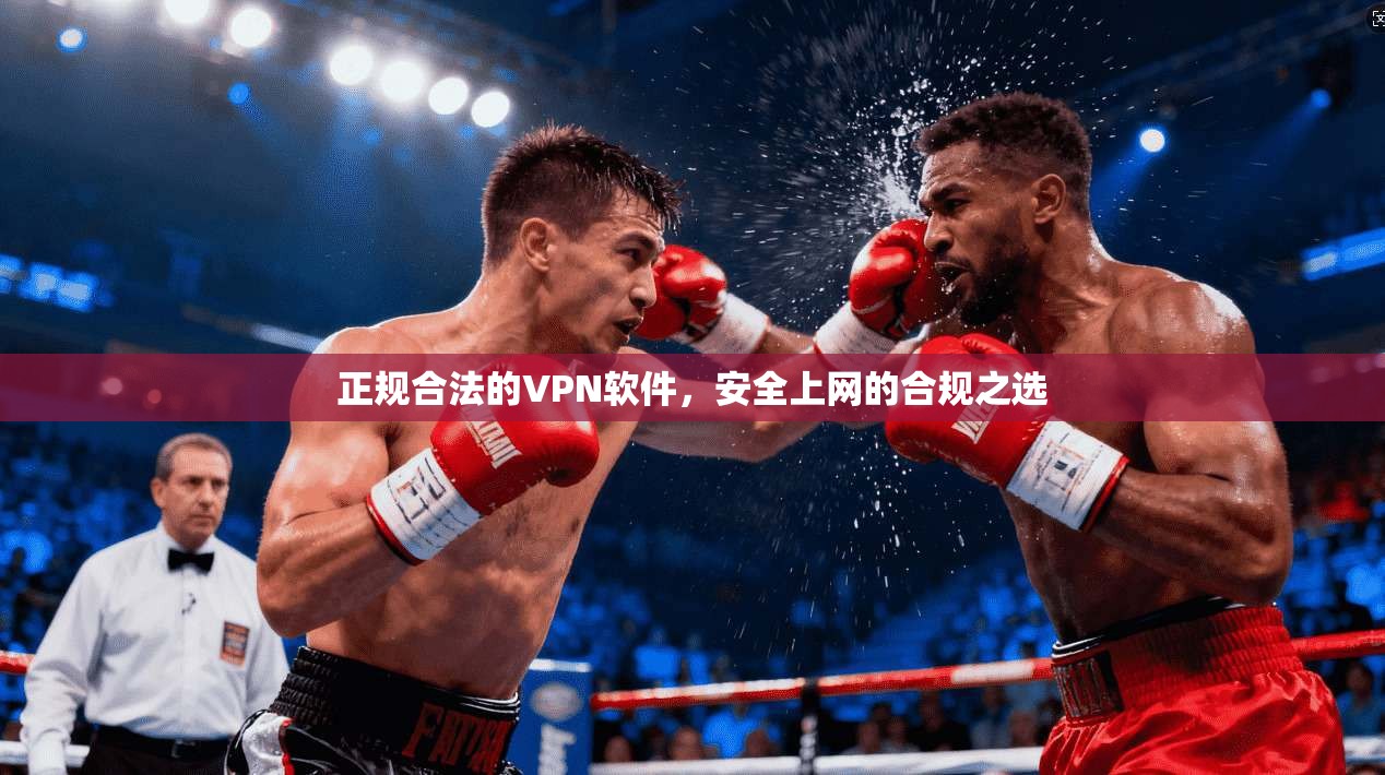 正规合法的VPN软件,安全上网的合规之选 正规合法的VPN软件,安全上网的合规之选