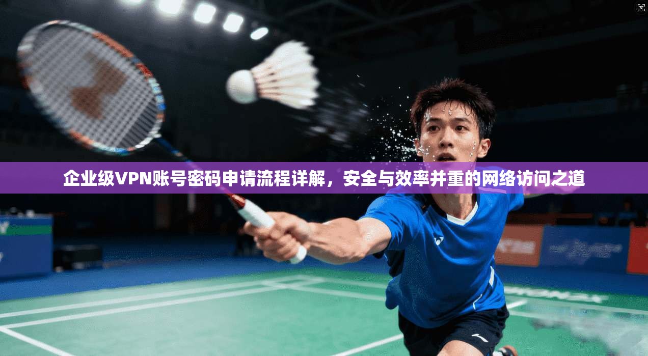企业级VPN账号密码申请流程详解，安全与效率并重的网络访问之道
