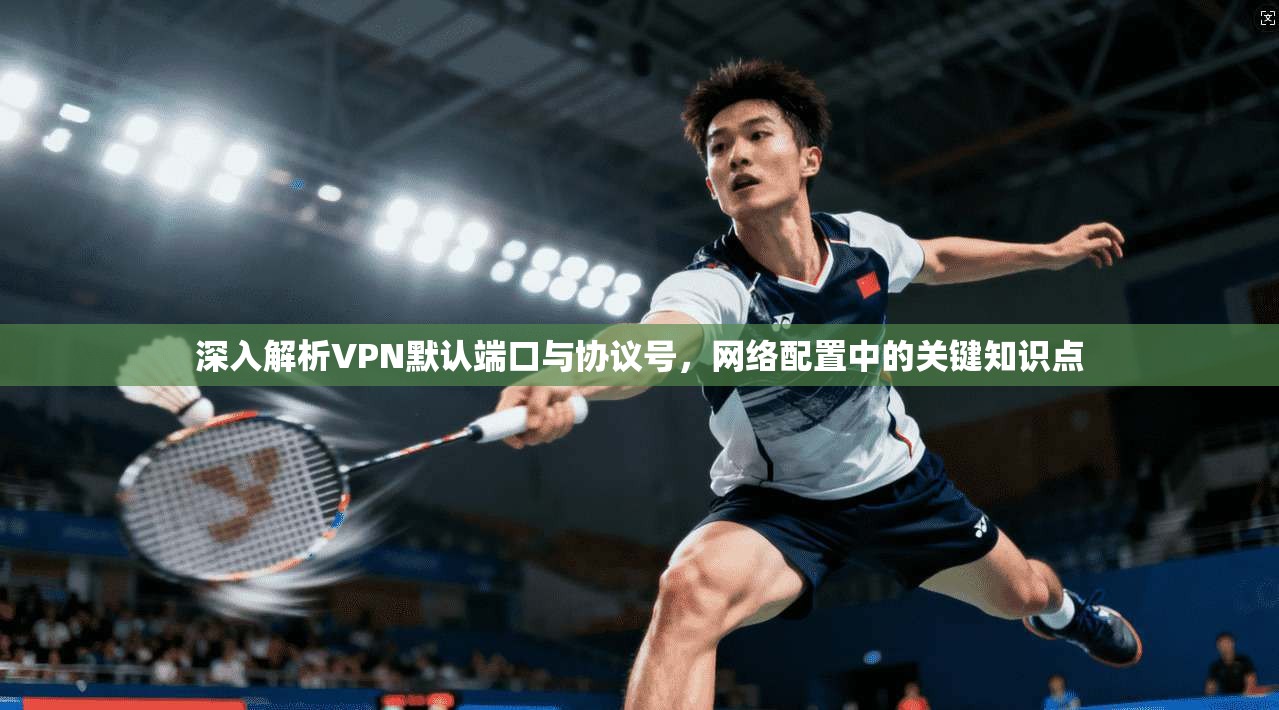 深入解析VPN默认端口与协议号,网络配置中的关键知识点 深入解析VPN默认端口与协议号,网络配置中的关键知识点