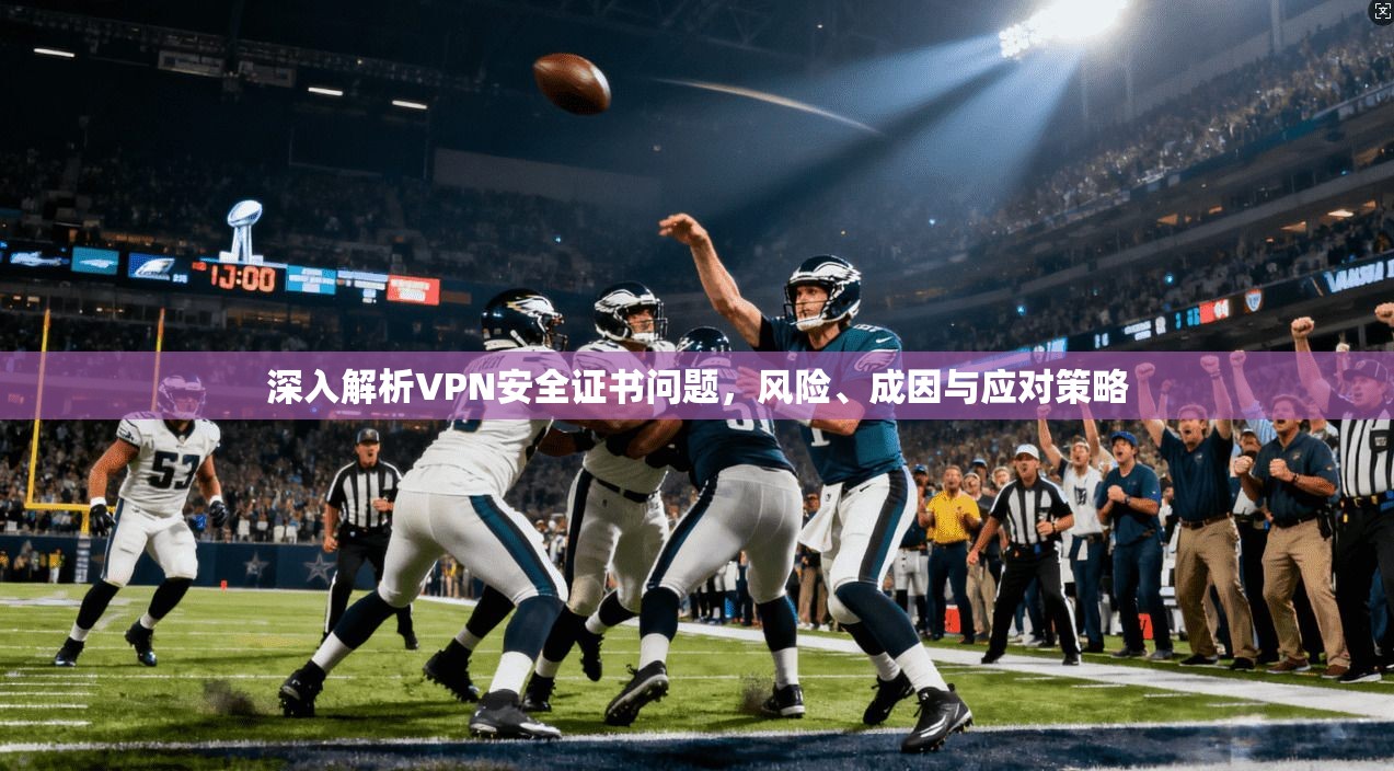 深入解析VPN安全证书问题,风险、成因与应对策略 深入解析VPN安全证书问题,风险、成因与应对策略