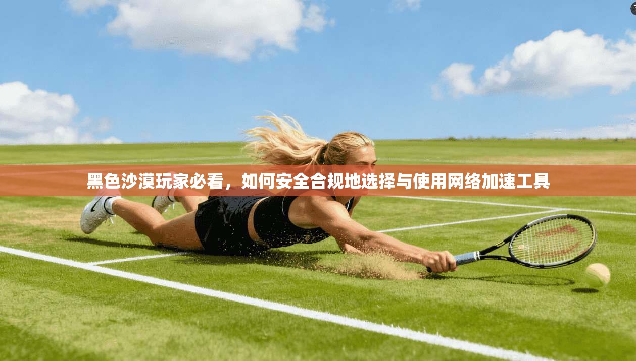 黑色沙漠玩家必看，如何安全合规地选择与使用网络加速工具