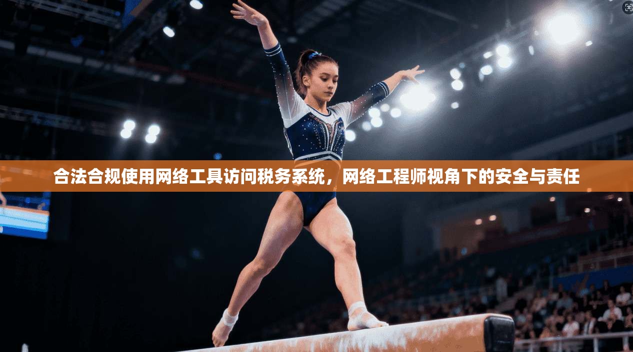 合法合规使用网络工具访问税务系统，网络工程师视角下的安全与责任