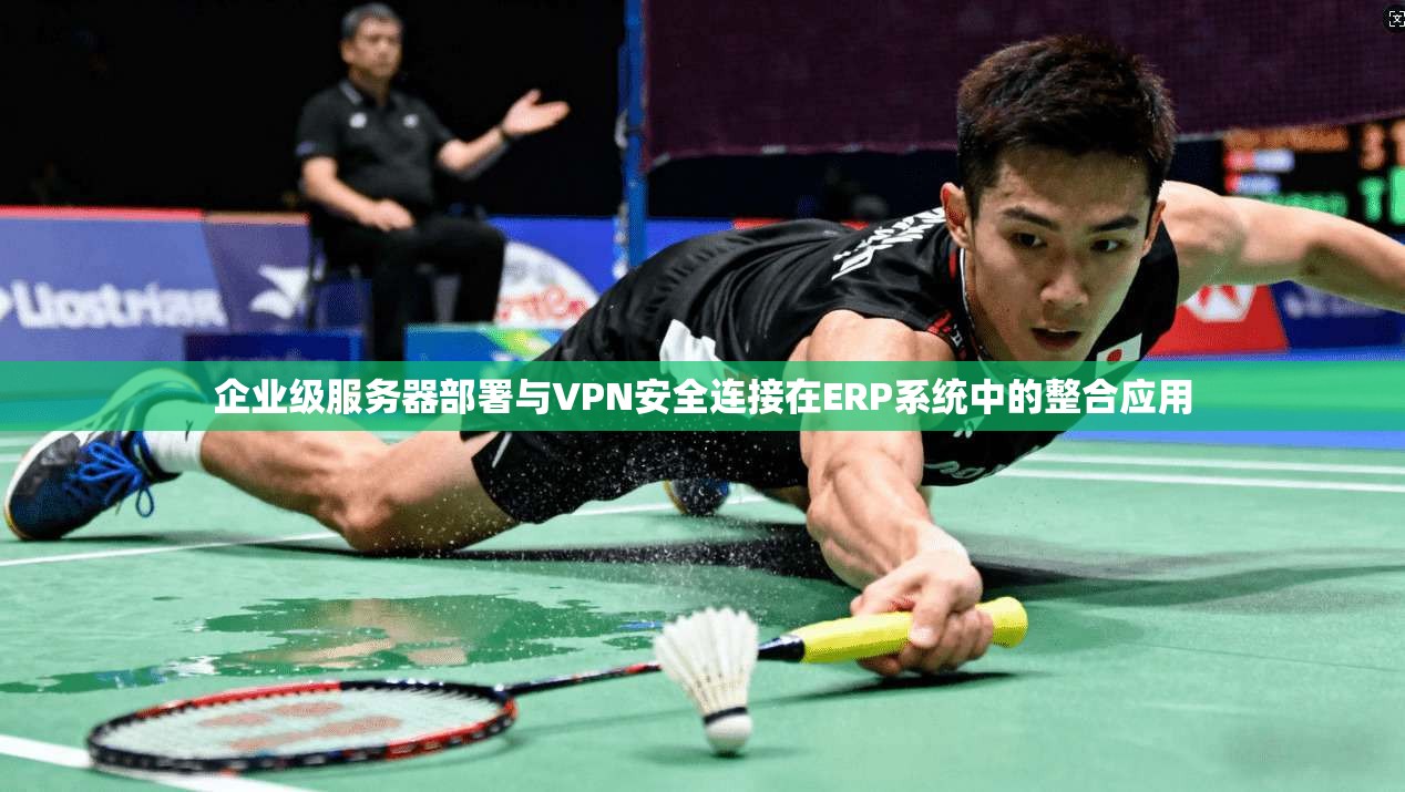 企业级服务器部署与VPN安全连接在ERP系统中的整合应用 企业级服务器部署与VPN安全连接在ERP系统中的整合应用