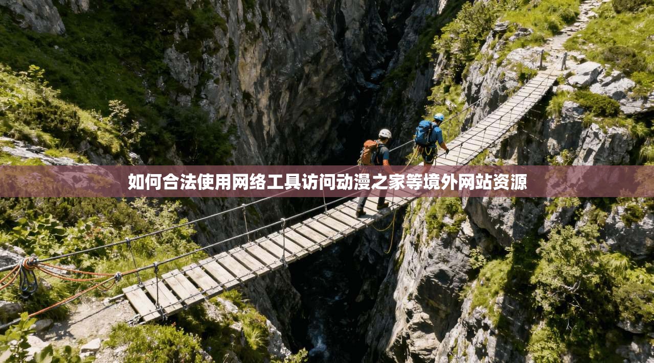如何合法使用网络工具访问动漫之家等境外网站资源 如何合法使用网络工具访问动漫之家等境外网站资源