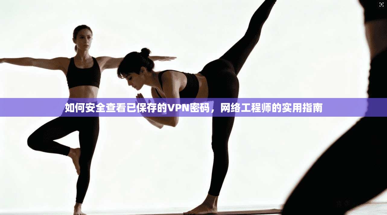 如何安全查看已保存的VPN密码,网络工程师的实用指南 如何安全查看已保存的VPN密码,网络工程师的实用指南