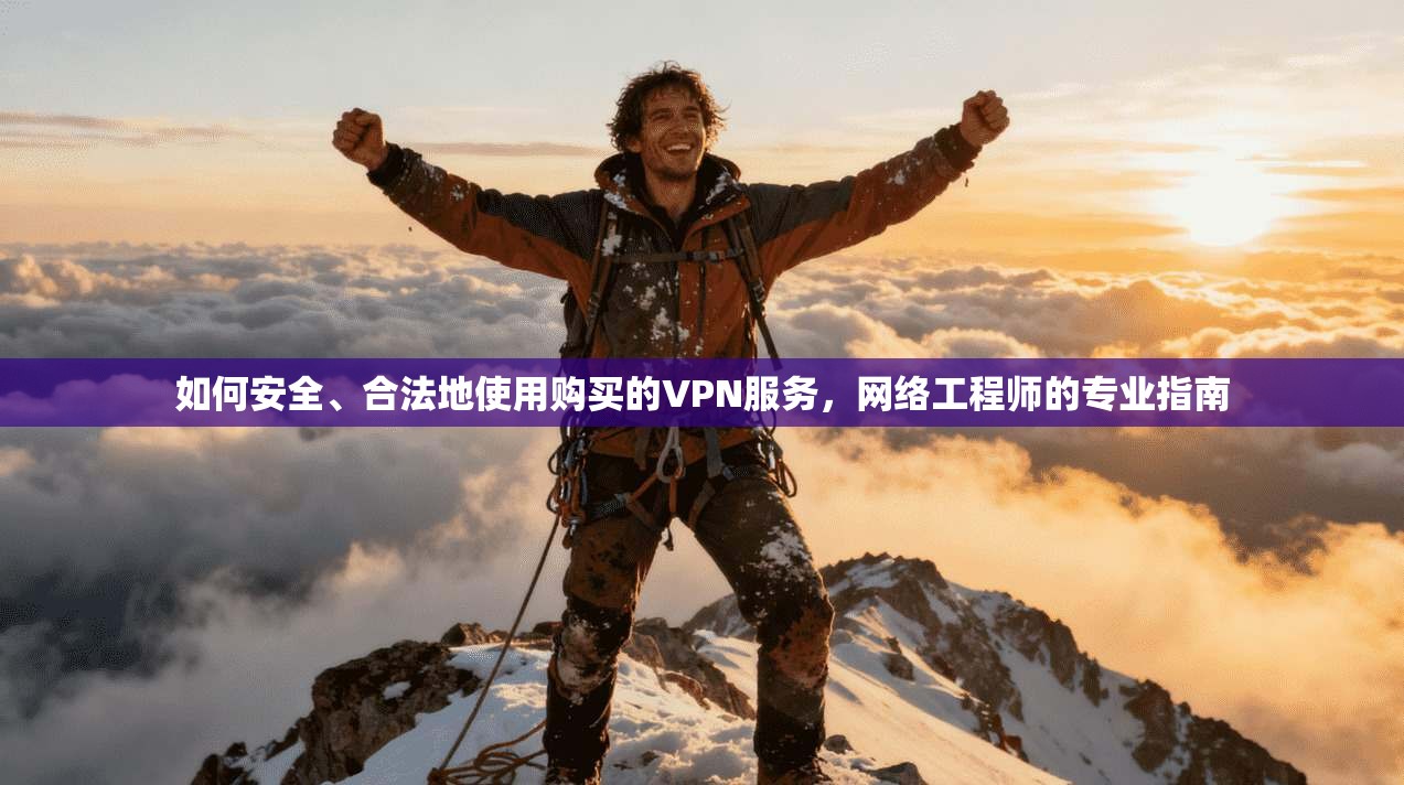 如何安全、合法地使用购买的VPN服务，网络工程师的专业指南