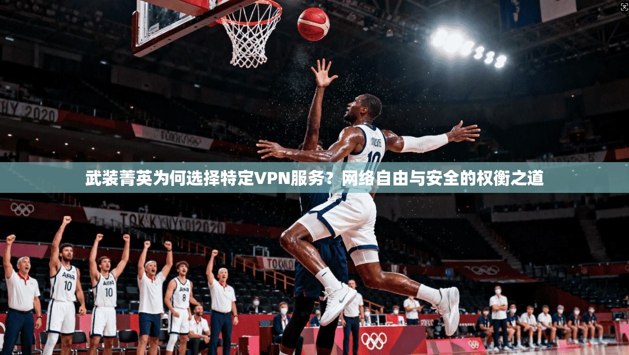 武装菁英为何选择特定VPN服务？网络自由与安全的权衡之道