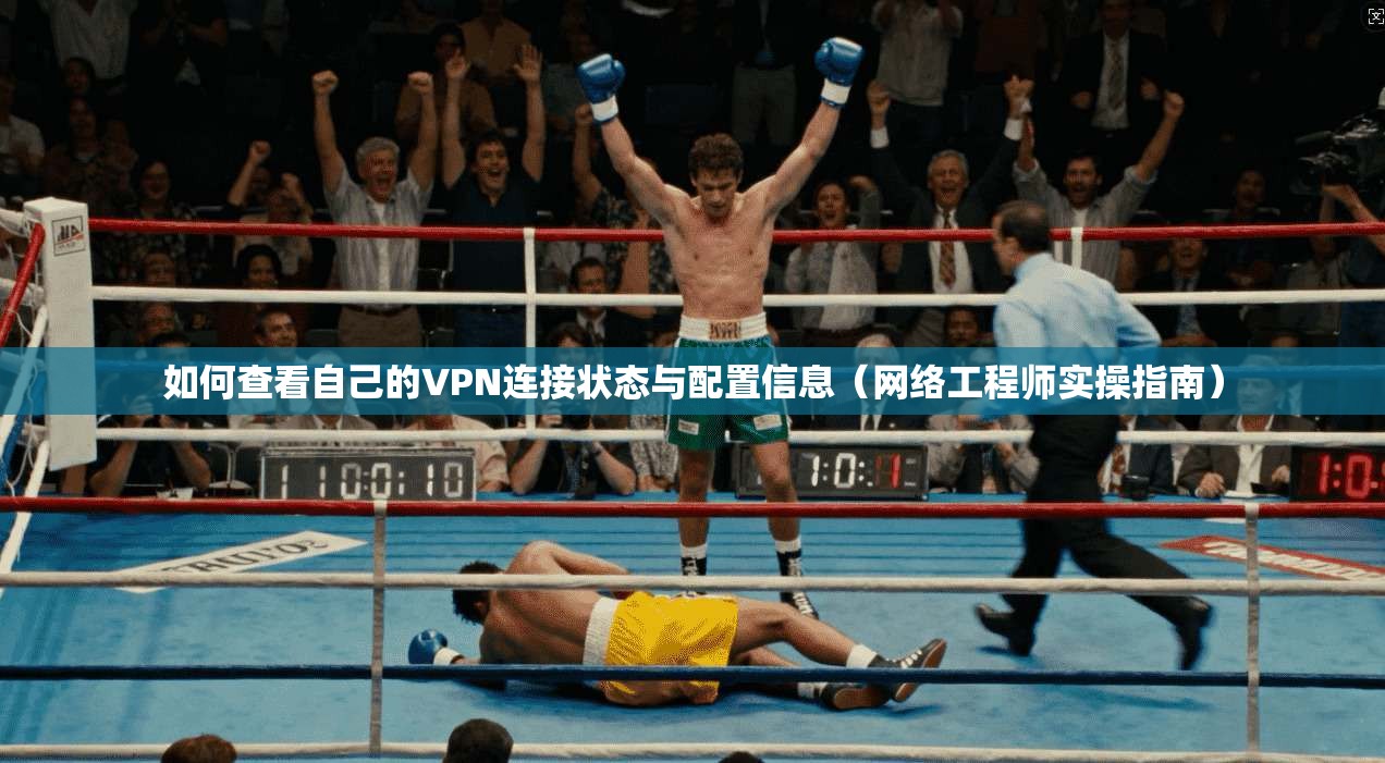如何查看自己的VPN连接状态与配置信息（网络工程师实操指南）
