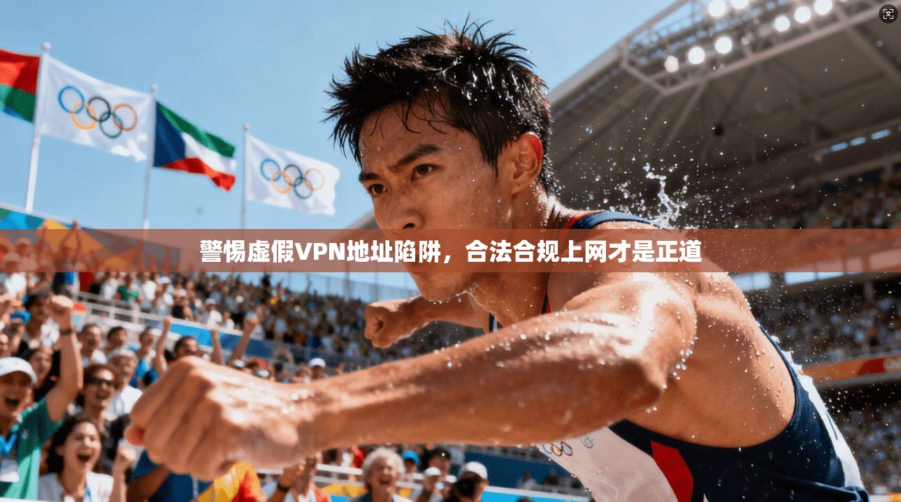 警惕虚假VPN地址陷阱,合法合规上网才是正道