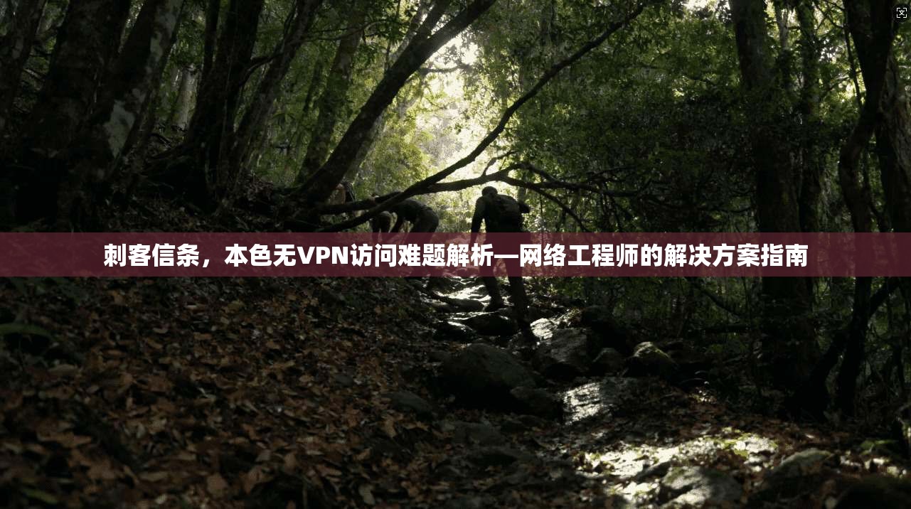 刺客信条,本色无VPN访问难题解析—网络工程师的解决方案指南