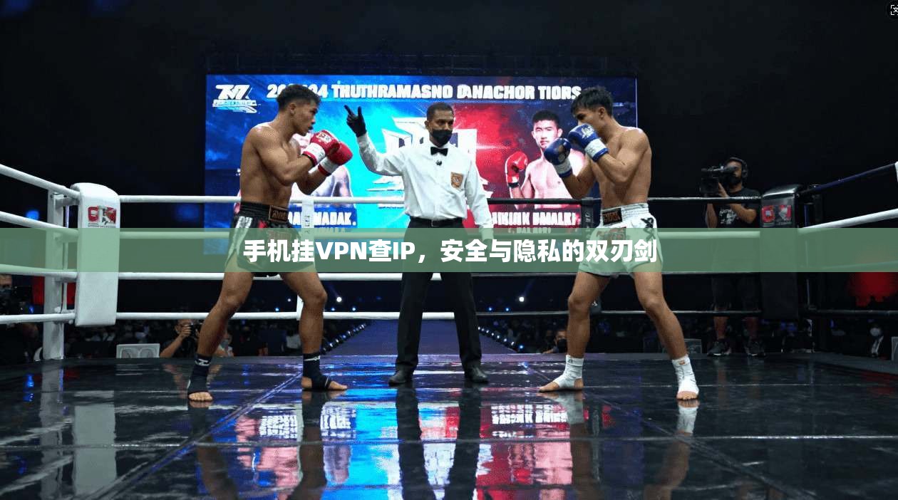 手机挂VPN查IP，安全与隐私的双刃剑