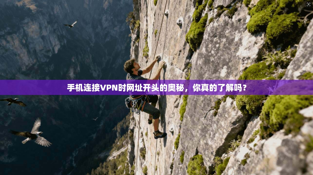 手机连接VPN时网址开头的奥秘，你真的了解吗？