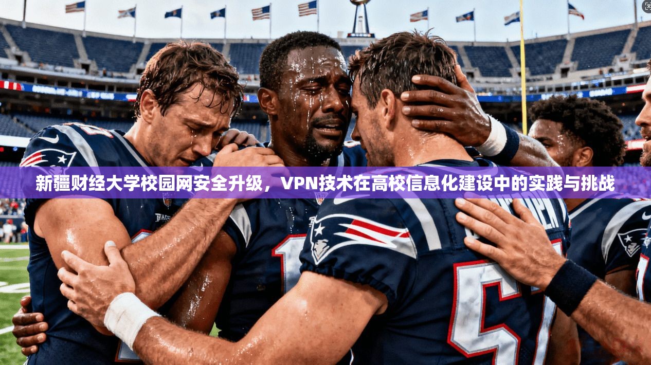 新疆财经大学校园网安全升级,VPN技术在高校信息化建设中的实践与挑战 新疆财经大学校园网安全升级,VPN技术在高校信息化建设中的实践与挑战