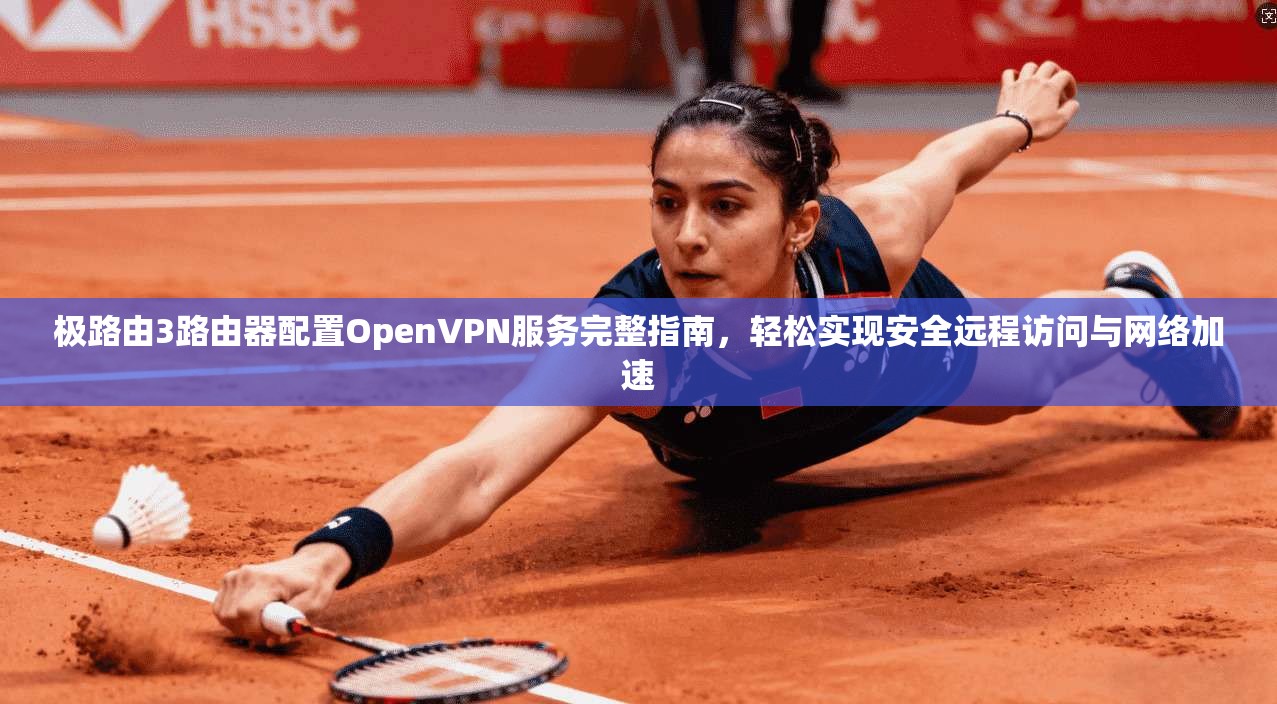 极路由3路由器配置OpenVPN服务完整指南,轻松实现安全远程访问与网络加速 极路由3路由器配置OpenVPN服务完整指南,轻松实现安全远程访问与网络加速