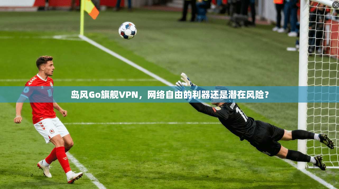 岛风Go旗舰VPN，网络自由的利器还是潜在风险？