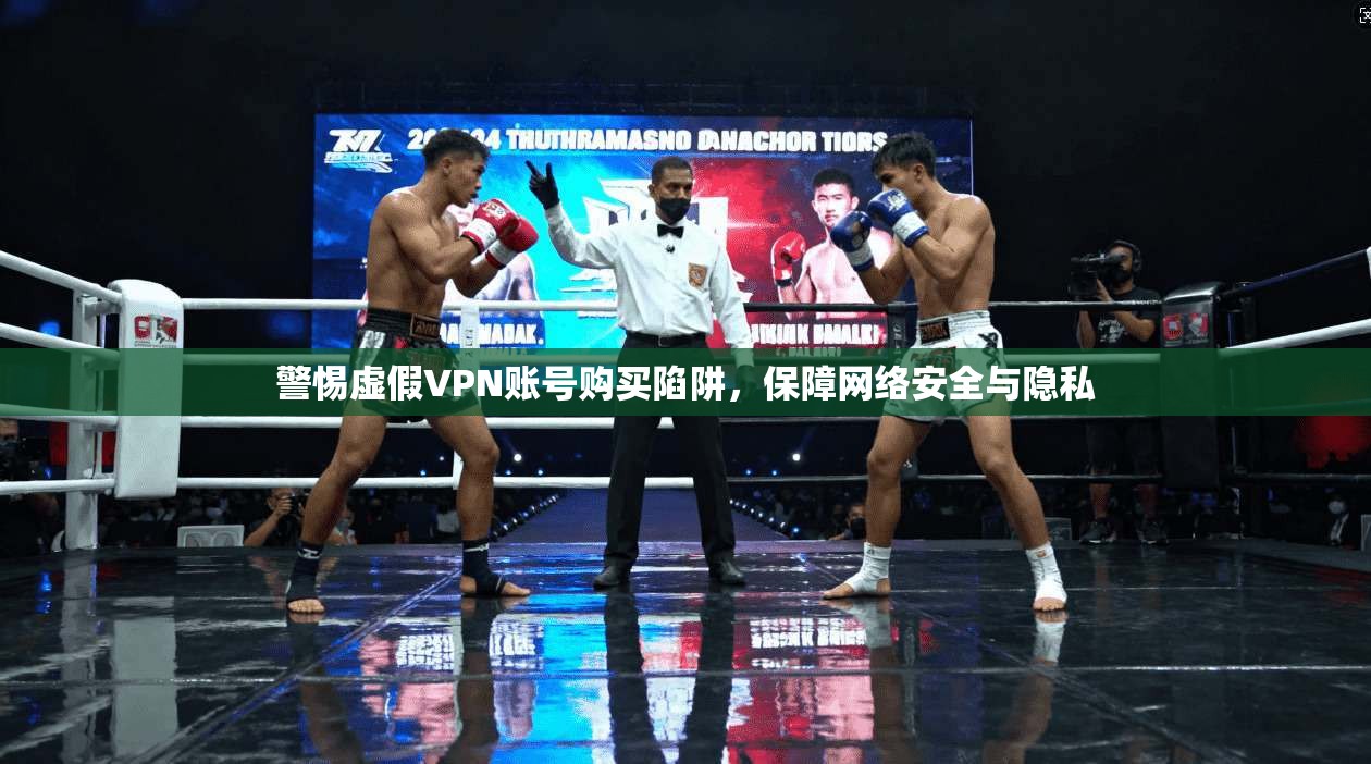 警惕虚假VPN账号购买陷阱，保障网络安全与隐私