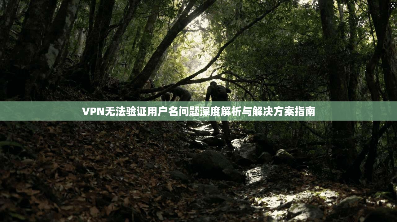 VPN无法验证用户名问题深度解析与解决方案指南