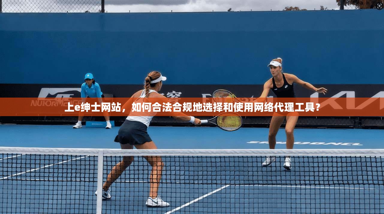 上e绅士网站,如何合法合规地选择和使用网络代理工具?