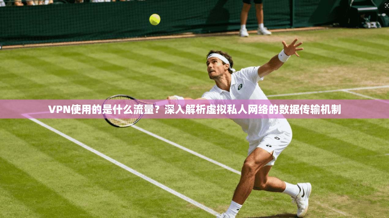VPN使用的是什么流量?深入解析虚拟私人网络的数据传输机制