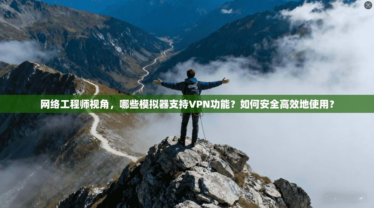 网络工程师视角,哪些模拟器支持VPN功能?如何安全高效地使用?