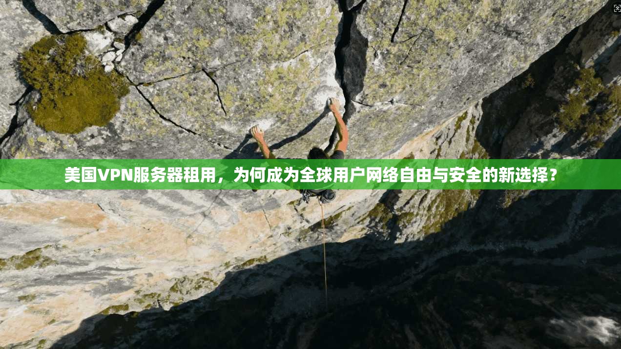 美国VPN服务器租用，为何成为全球用户网络自由与安全的新选择？