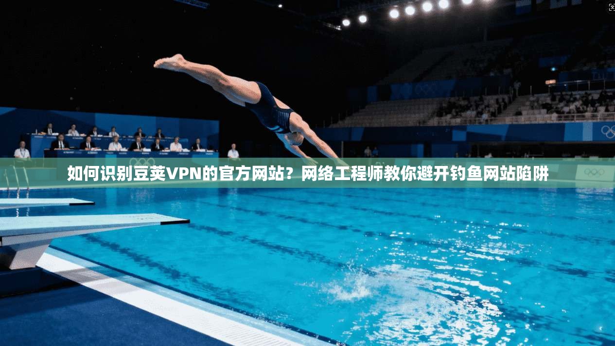 如何识别豆荚VPN的官方网站？网络工程师教你避开钓鱼网站陷阱