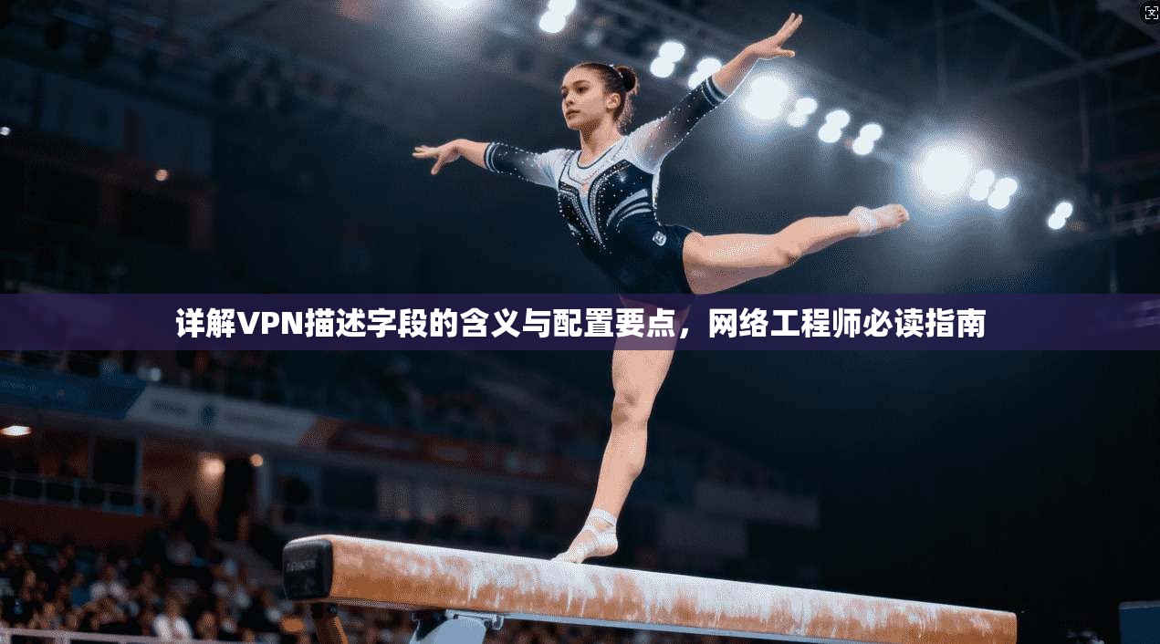 详解VPN描述字段的含义与配置要点,网络工程师必读指南 详解VPN描述字段的含义与配置要点,网络工程师必读指南