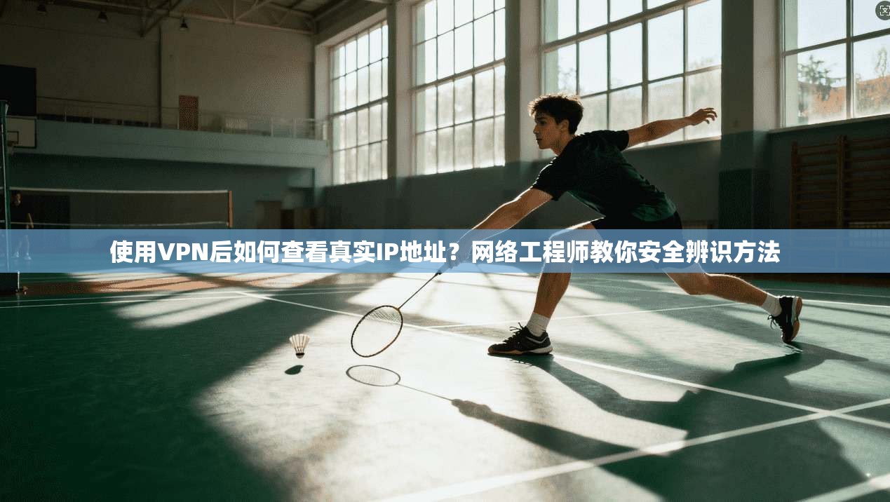 使用VPN后如何查看真实IP地址？网络工程师教你安全辨识方法