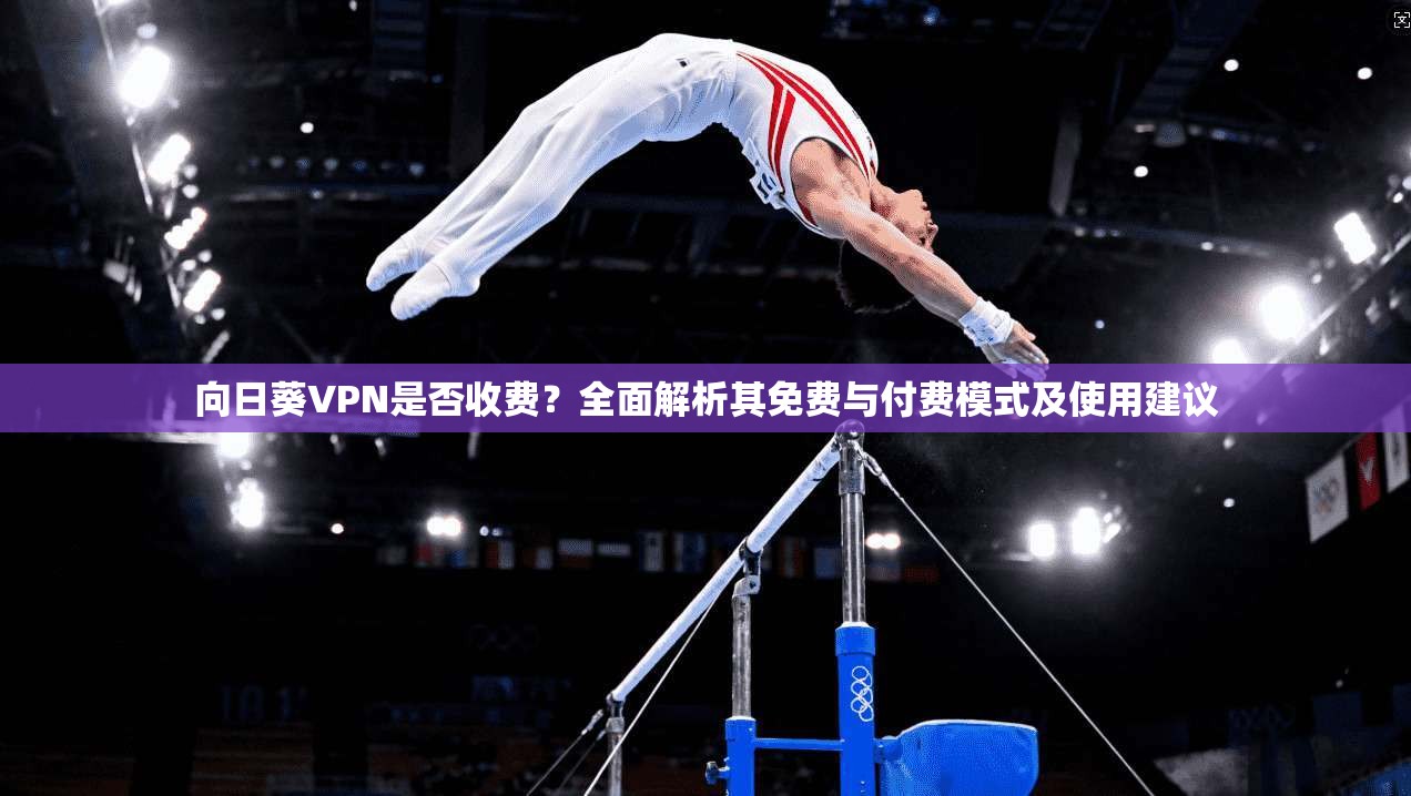 向日葵VPN是否收费？全面解析其免费与付费模式及使用建议