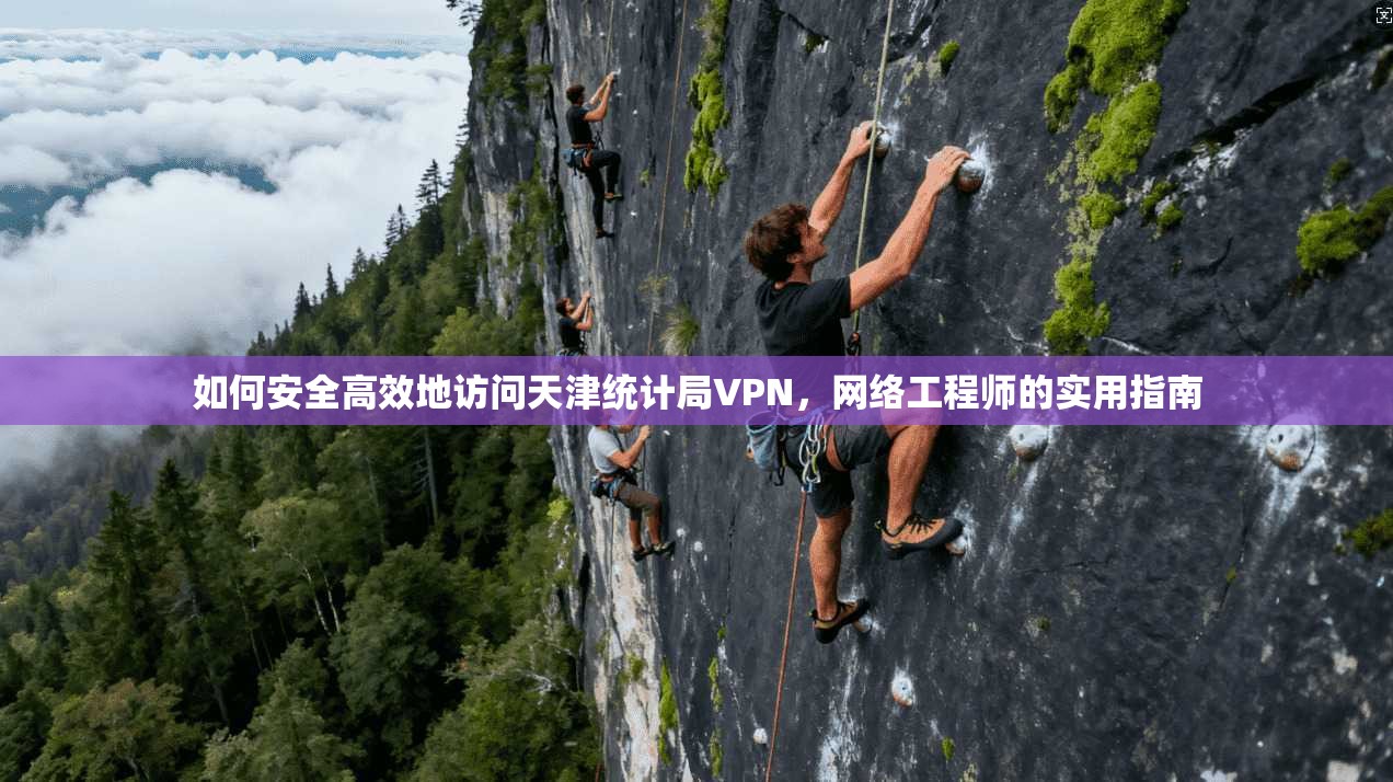 如何安全高效地访问天津统计局VPN，网络工程师的实用指南