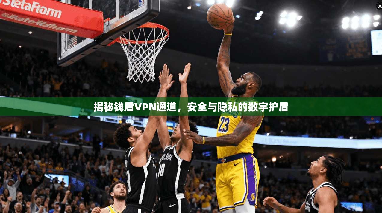 揭秘钱盾VPN通道,安全与隐私的数字护盾 揭秘钱盾VPN通道,安全与隐私的数字护盾