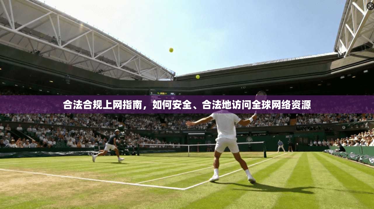 合法合规上网指南,如何安全、合法地访问全球网络资源 合法合规上网指南,如何安全、合法地访问全球网络资源