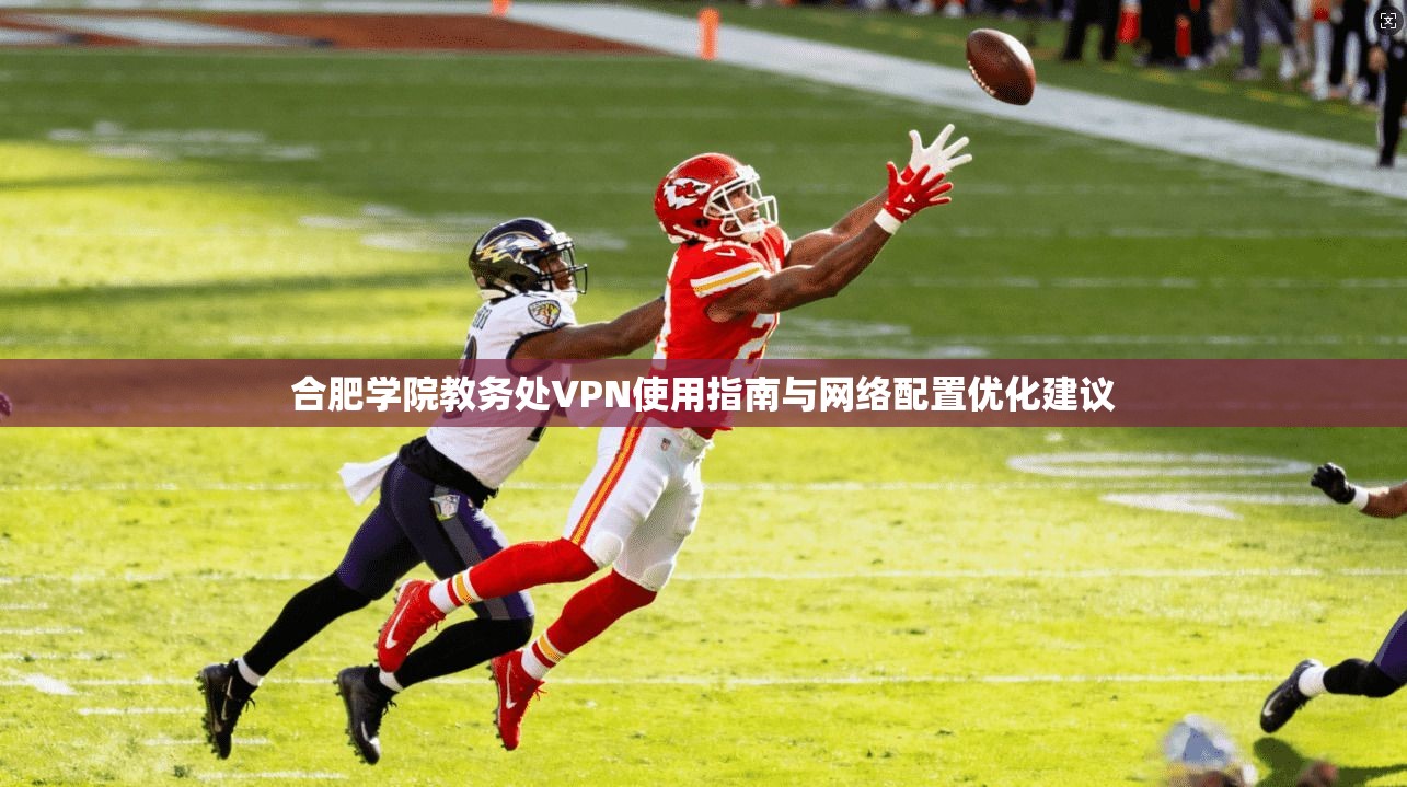 合肥学院教务处VPN使用指南与网络配置优化建议
