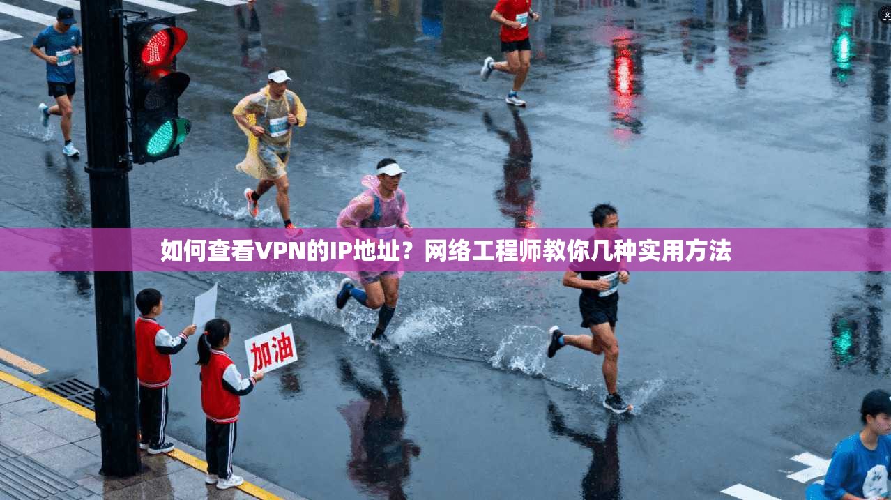 如何查看VPN的IP地址？网络工程师教你几种实用方法
