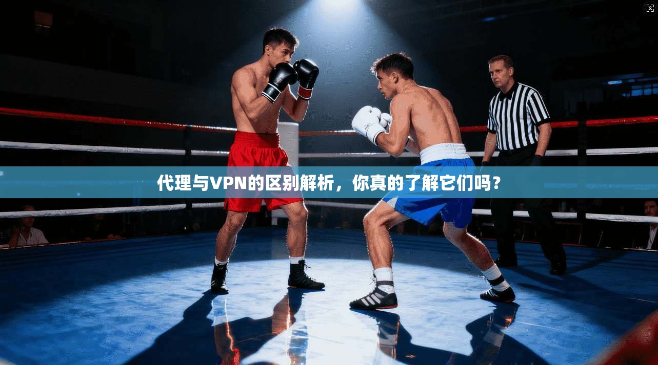 代理与VPN的区别解析,你真的了解它们吗? 代理与VPN的区别解析,你真的了解它们吗?