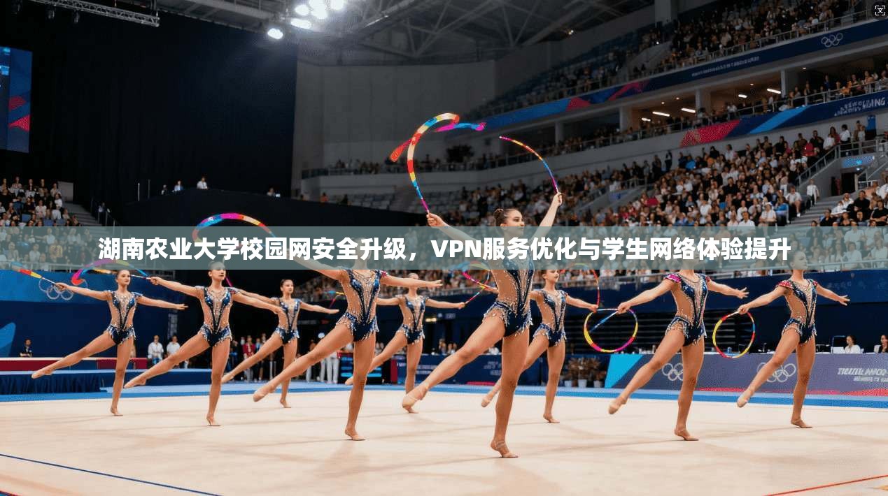 湖南农业大学校园网安全升级,VPN服务优化与学生网络体验提升 湖南农业大学校园网安全升级,VPN服务优化与学生网络体验提升