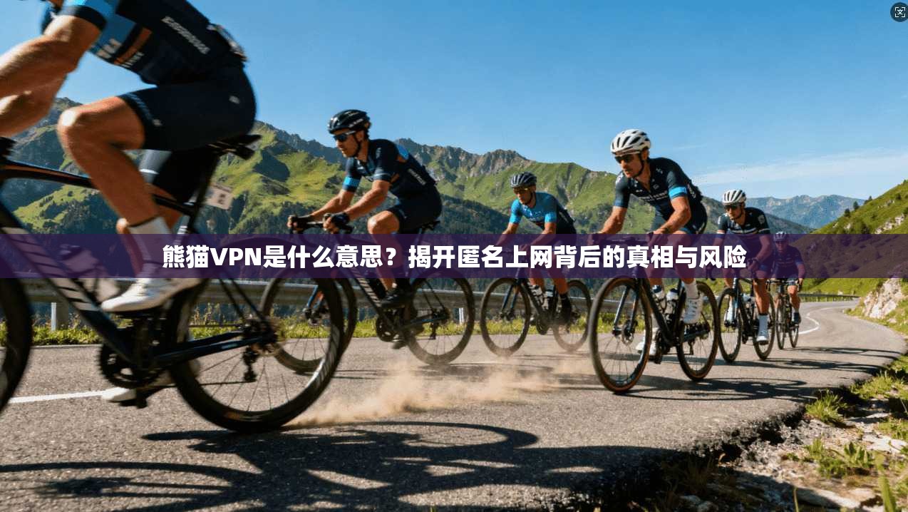 熊猫VPN是什么意思?揭开匿名上网背后的真相与风险 熊猫VPN是什么意思?揭开匿名上网背后的真相与风险