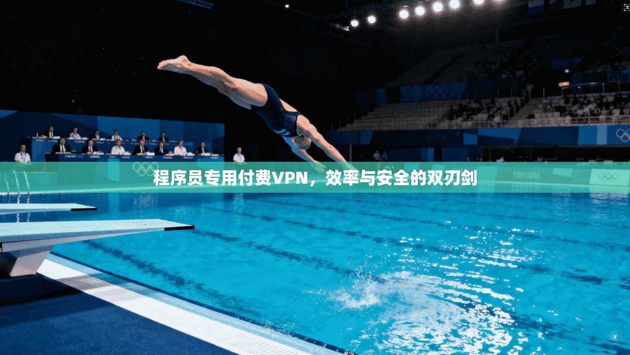 程序员专用付费VPN,效率与安全的双刃剑 程序员专用付费VPN,效率与安全的双刃剑