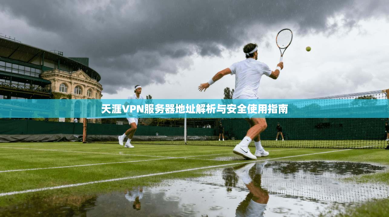 天涯VPN服务器地址解析与安全使用指南 天涯VPN服务器地址解析与安全使用指南