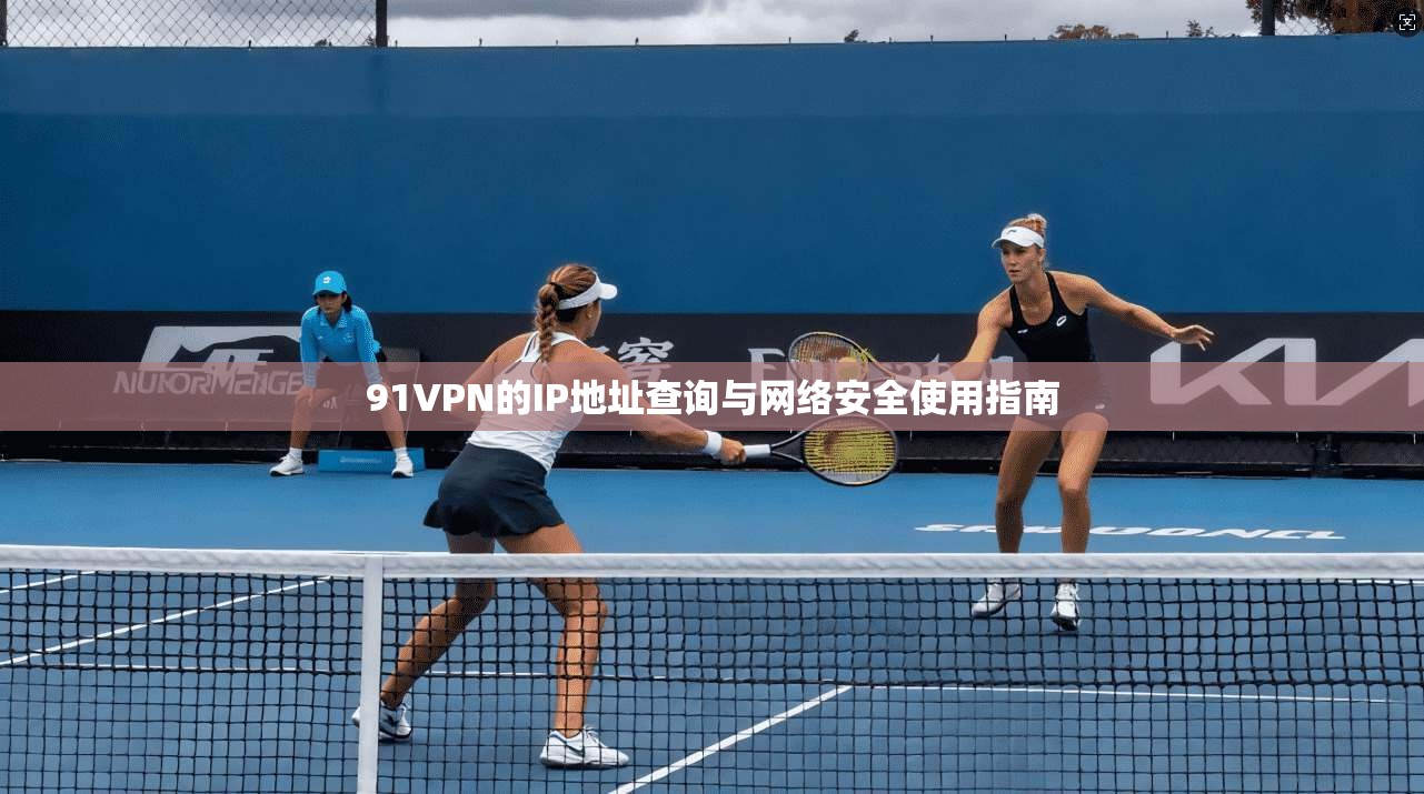 91VPN的IP地址查询与网络安全使用指南 91VPN的IP地址查询与网络安全使用指南