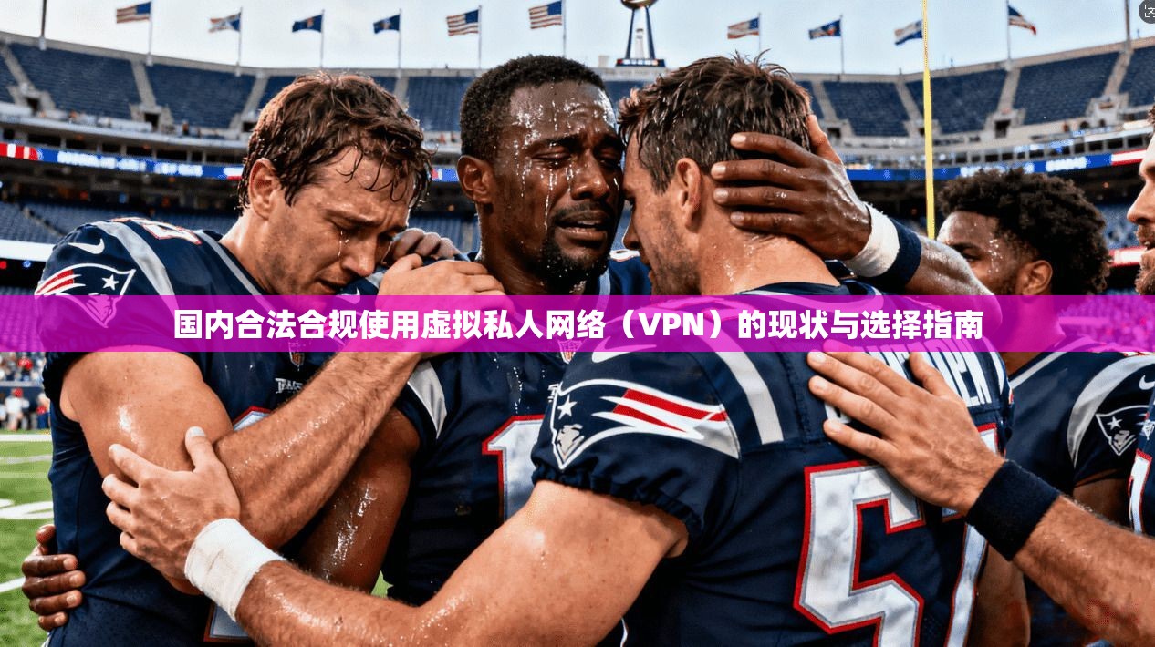 国内合法合规使用虚拟私人网络(VPN)的现状与选择指南 国内合法合规使用虚拟私人网络(VPN)的现状与选择指南
