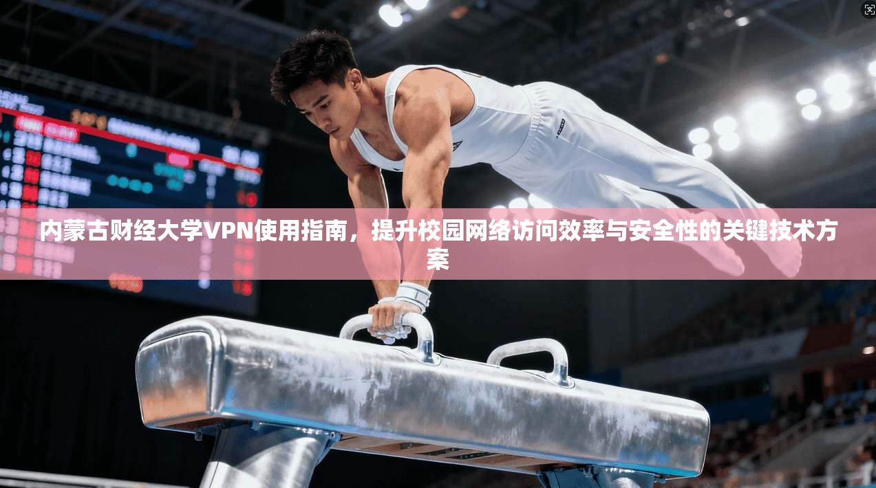 内蒙古财经大学VPN使用指南,提升校园网络访问效率与安全性的关键技术方案 内蒙古财经大学VPN使用指南,提升校园网络访问效率与安全性的关键技术方案