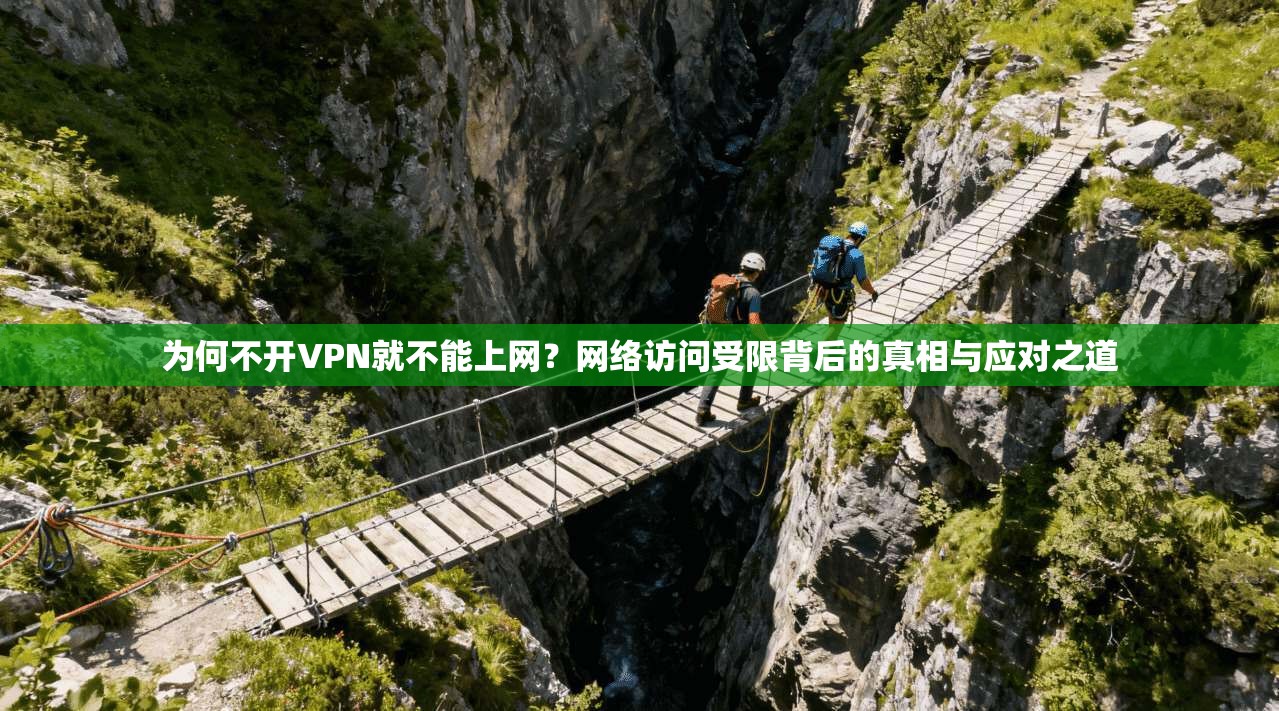 为何不开VPN就不能上网?网络访问受限背后的真相与应对之道 为何不开VPN就不能上网?网络访问受限背后的真相与应对之道