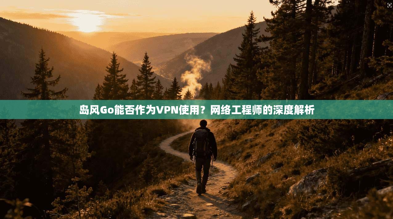 岛风Go能否作为VPN使用?网络工程师的深度解析 岛风Go能否作为VPN使用?网络工程师的深度解析