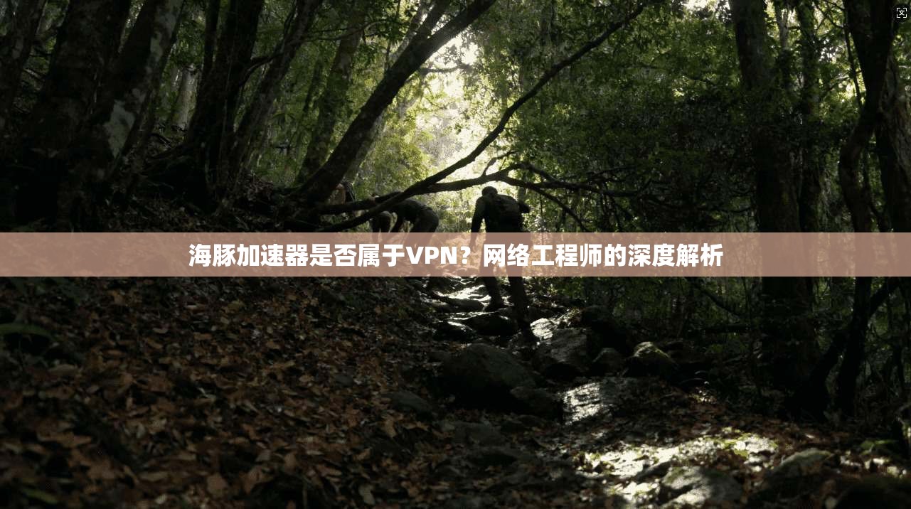 海豚加速器是否属于VPN?网络工程师的深度解析 海豚加速器是否属于VPN?网络工程师的深度解析
